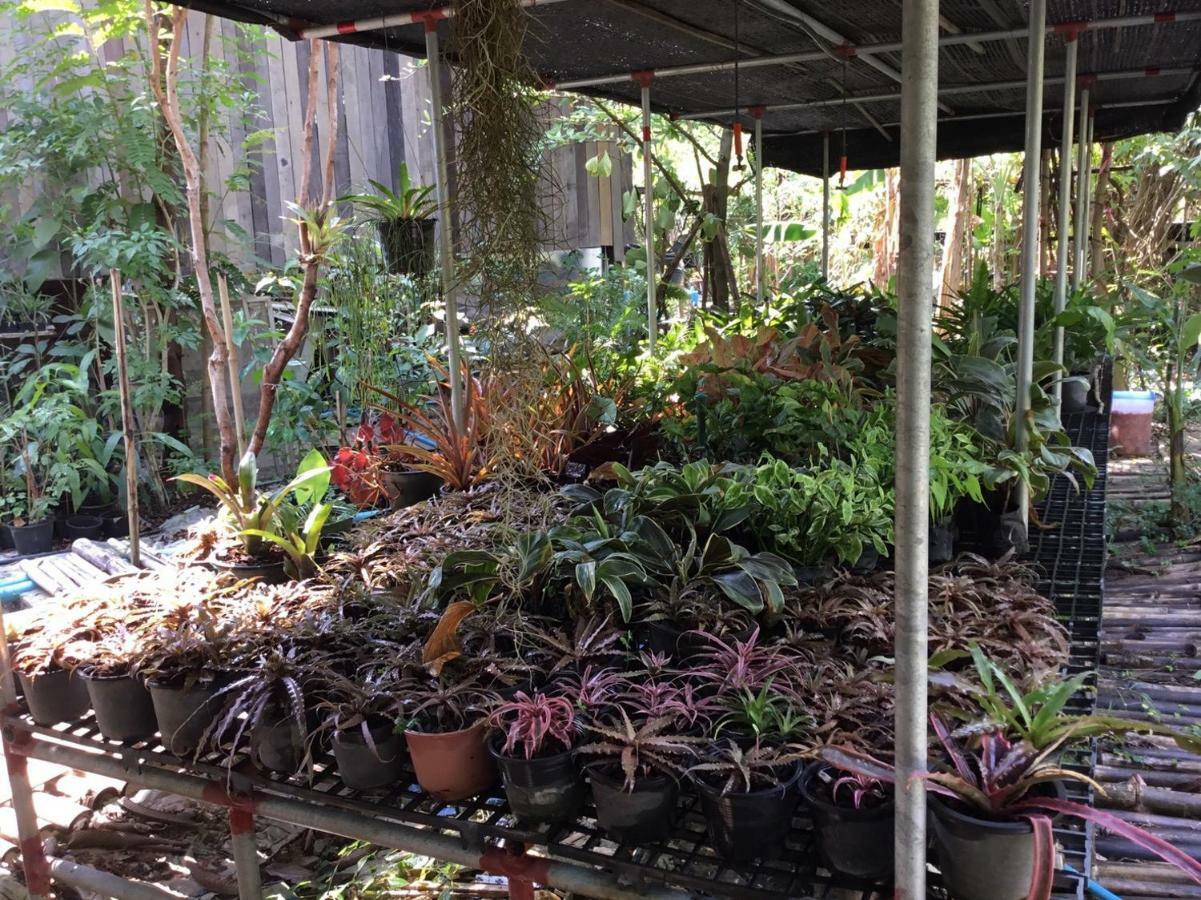 Rustic​ Charm​ Suphan​ Ban Tha Pong Exterior foto